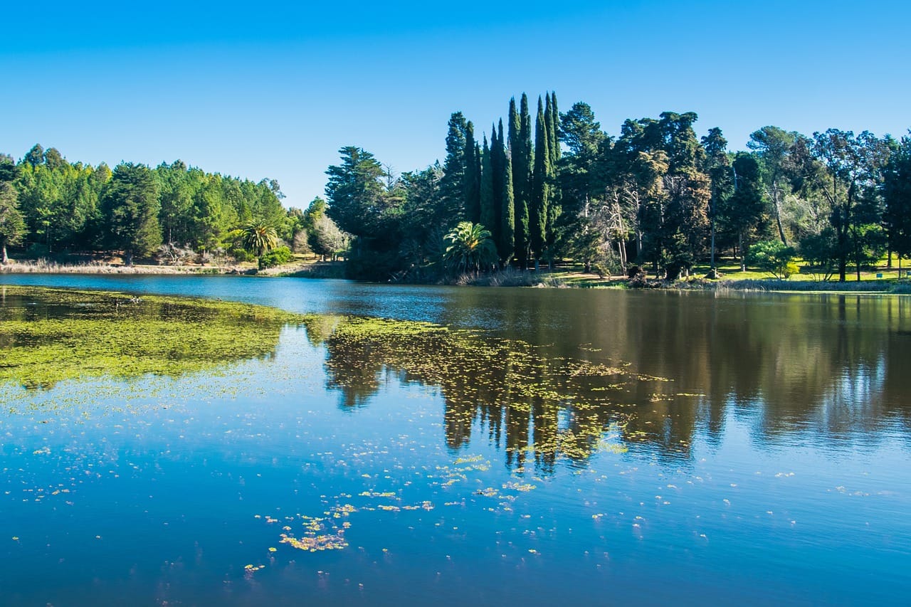 Kolumbijskie powiedzenia i ich znaczenia blog-turystyczny (113)